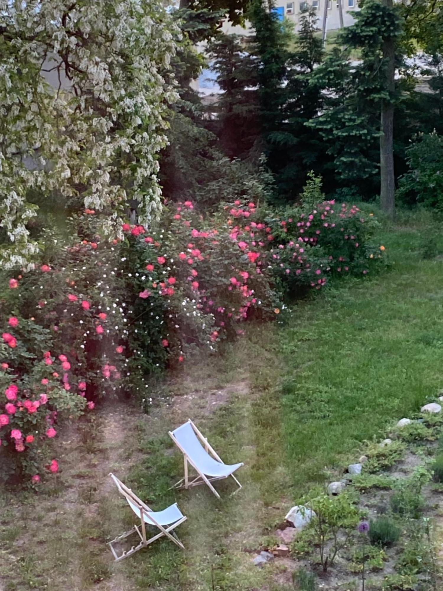 Palac Osowo Gostynskie Dış mekan fotoğraf
